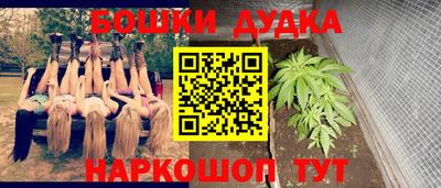 индика Новокубанск
