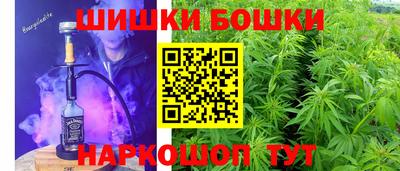 индика Новокубанск