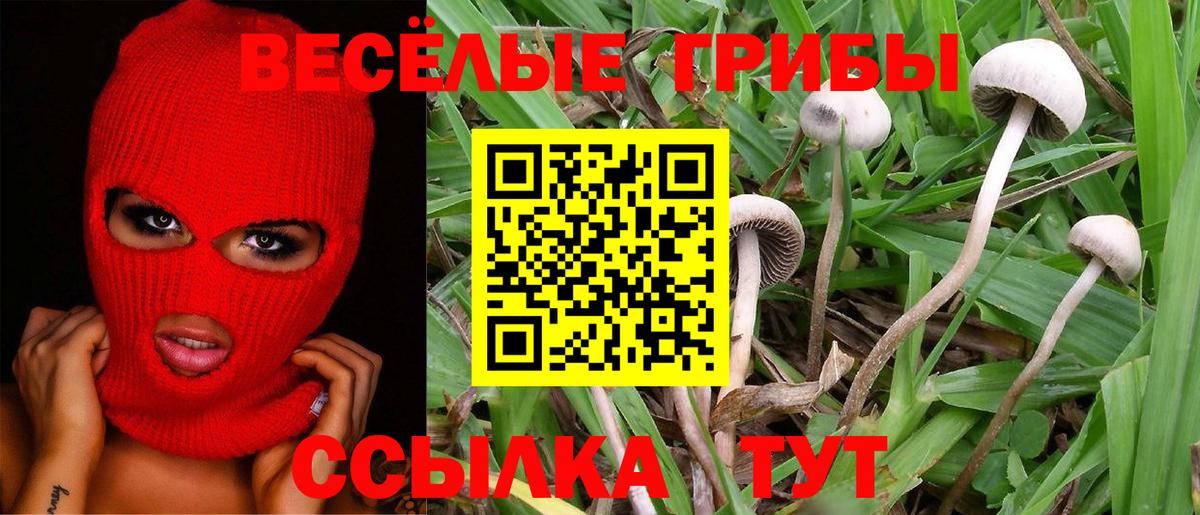 Псилоцибиновые грибы MAGIC MUSHROOMS  Псилоцибиновые грибы Psilocybine cubensis  Вход с VPN  Сочи 