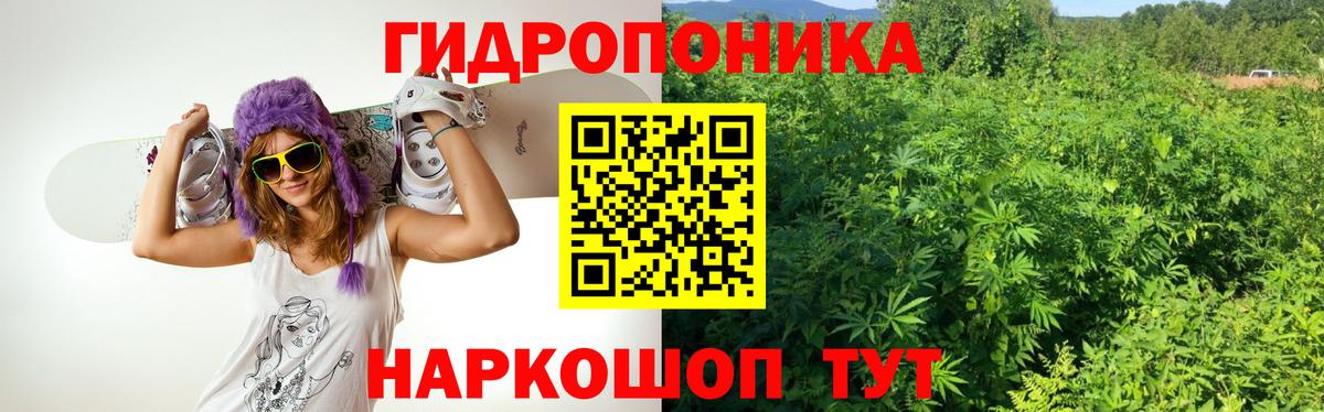 Бошки Шишки MAZAR  Конопля Amnesia  Вход с VPN  Канабис ГИДРОПОН  Сочи 